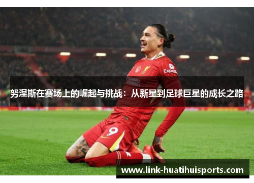 努涅斯在赛场上的崛起与挑战：从新星到足球巨星的成长之路